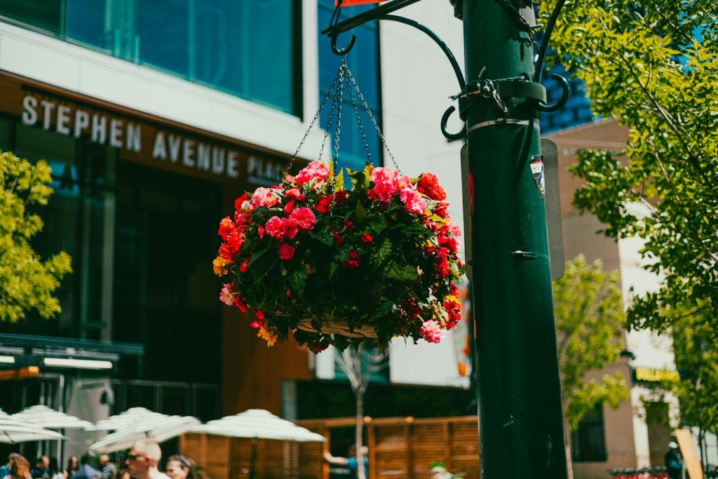 Stephen Avenue sign and flowers