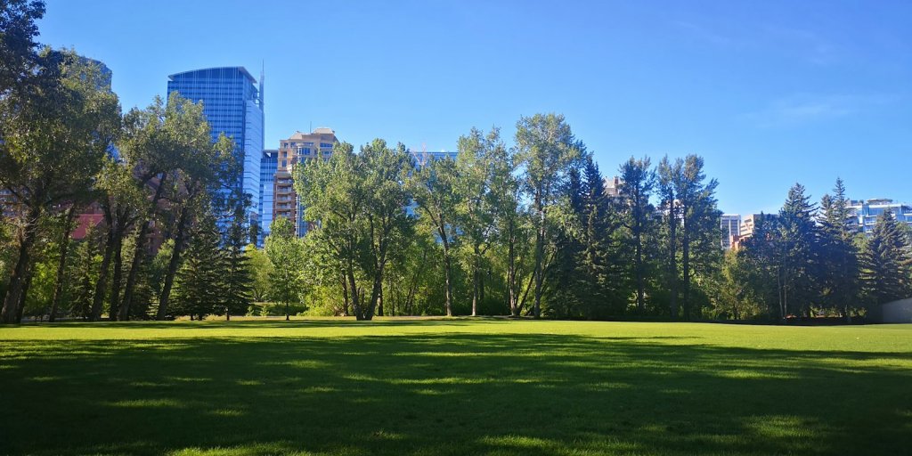 Summer in a downtown Calgary park